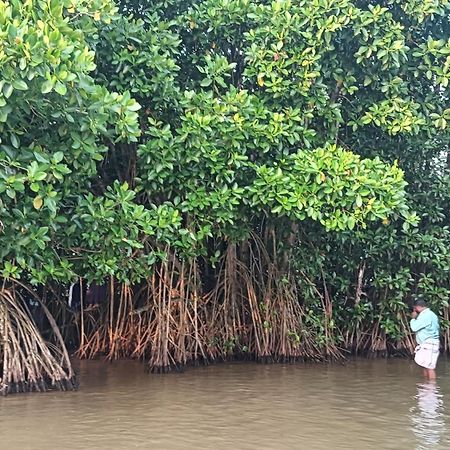 Dilkush Munroe Homestay Kollam Bagian luar foto