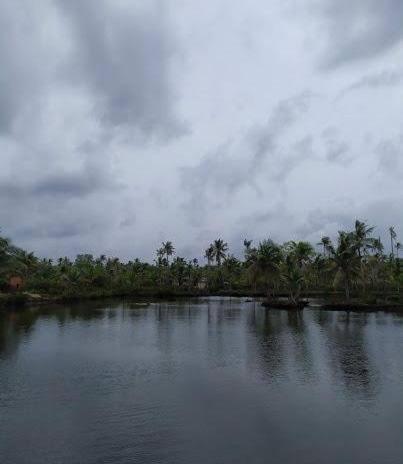 Dilkush Munroe Homestay Kollam Bagian luar foto