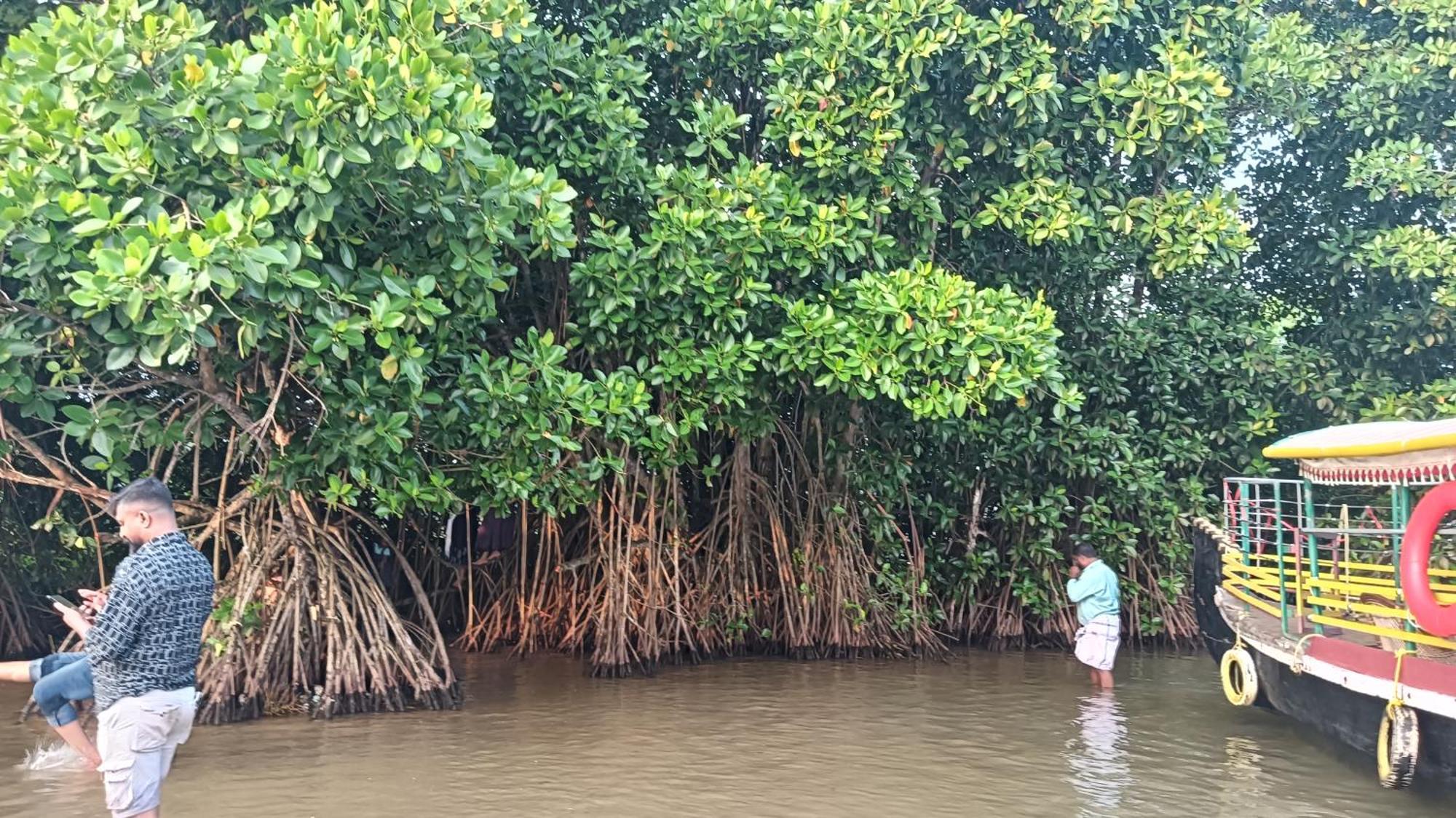 Dilkush Munroe Homestay Kollam Bagian luar foto